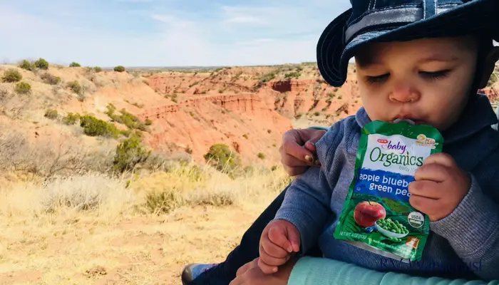 Baby Nomad Hiking Snack