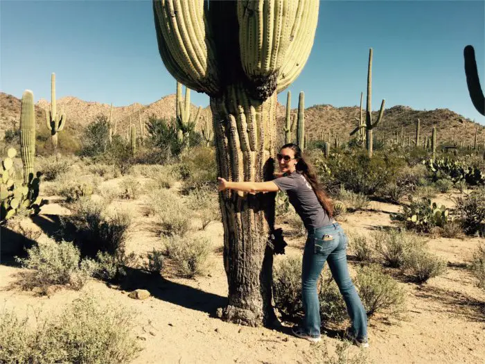 Saguaro Cactus Hug Tucson