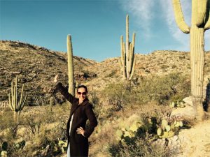 Saguaro Cacti