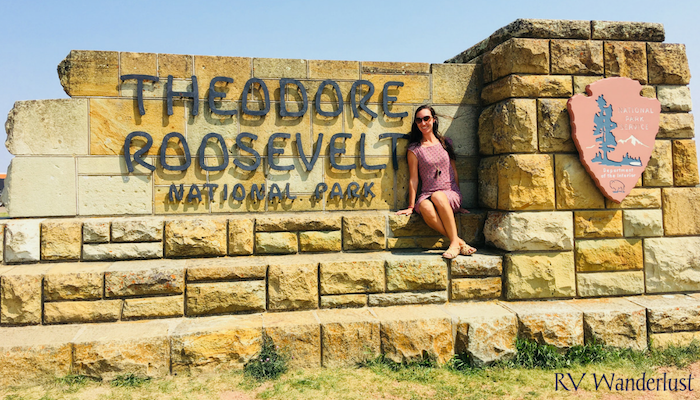 Brittany Highland Theodore Roosevelt National Park