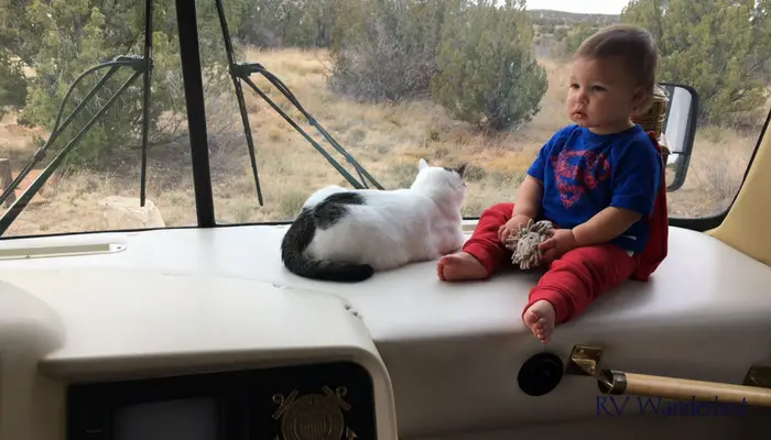 Baby Sitting on RV Dashboard