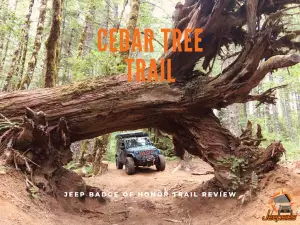 Jeep Badge of Honor Trail Cedar Tree