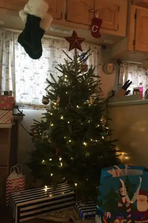 Christmas Tree in RV