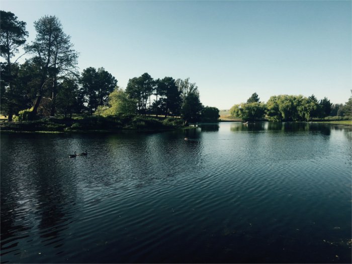 TRACEN Petaluma Pond