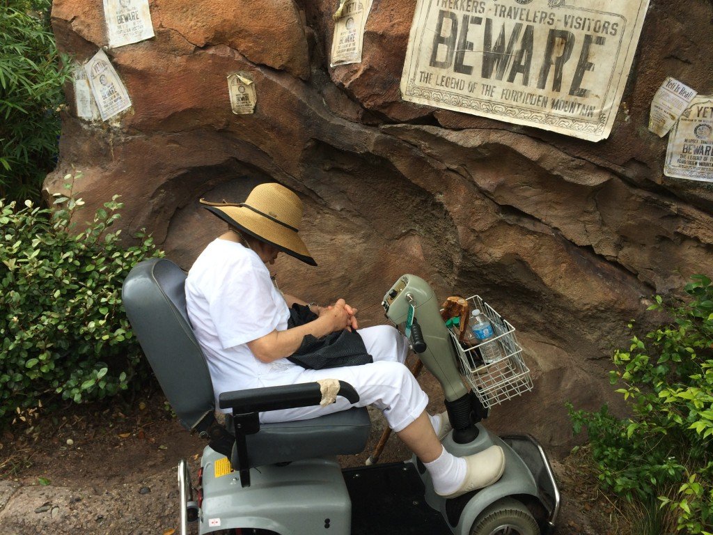A weary grandmother at Disney