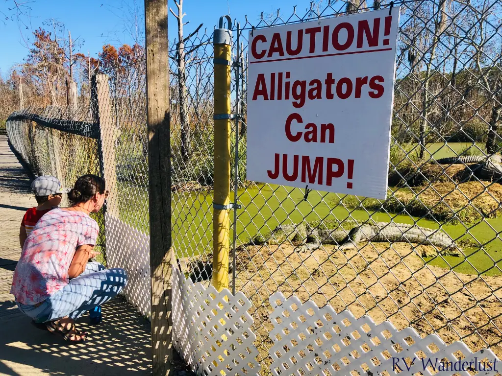 Alligators Can Jump Sign