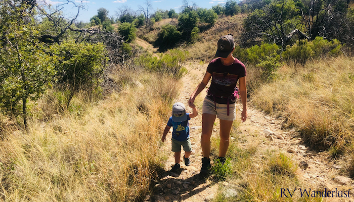 Toddler Hiking Two Miles Unaided