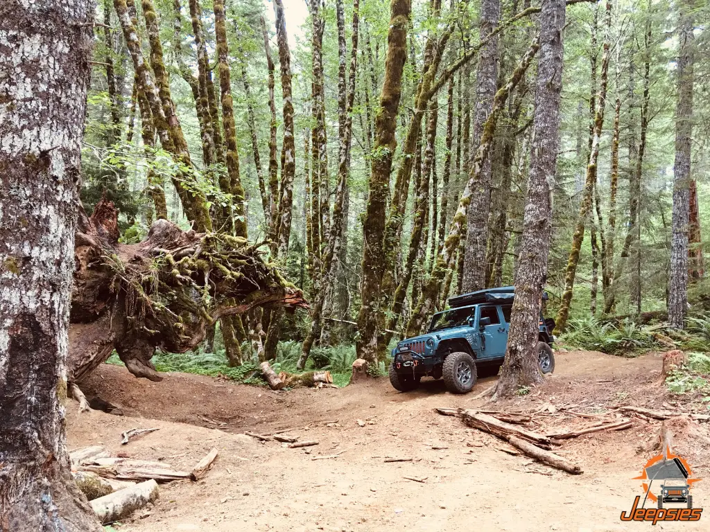 Cedar Tree Trail Bypass