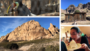 RVing Las Cruces New Mexico