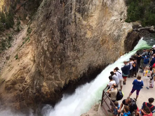 Lower Falls Brink Yellowstone