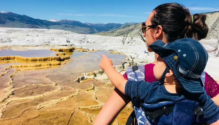 Mammoth Springs With Toddler