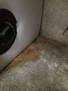Mold in RV