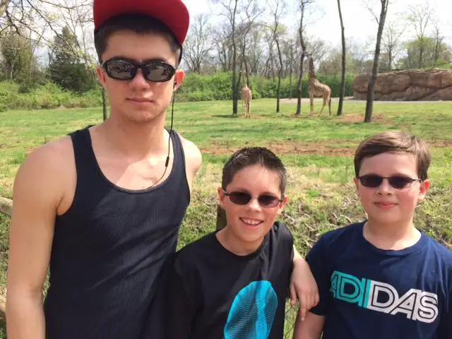 Nashville Zoo Giraffes