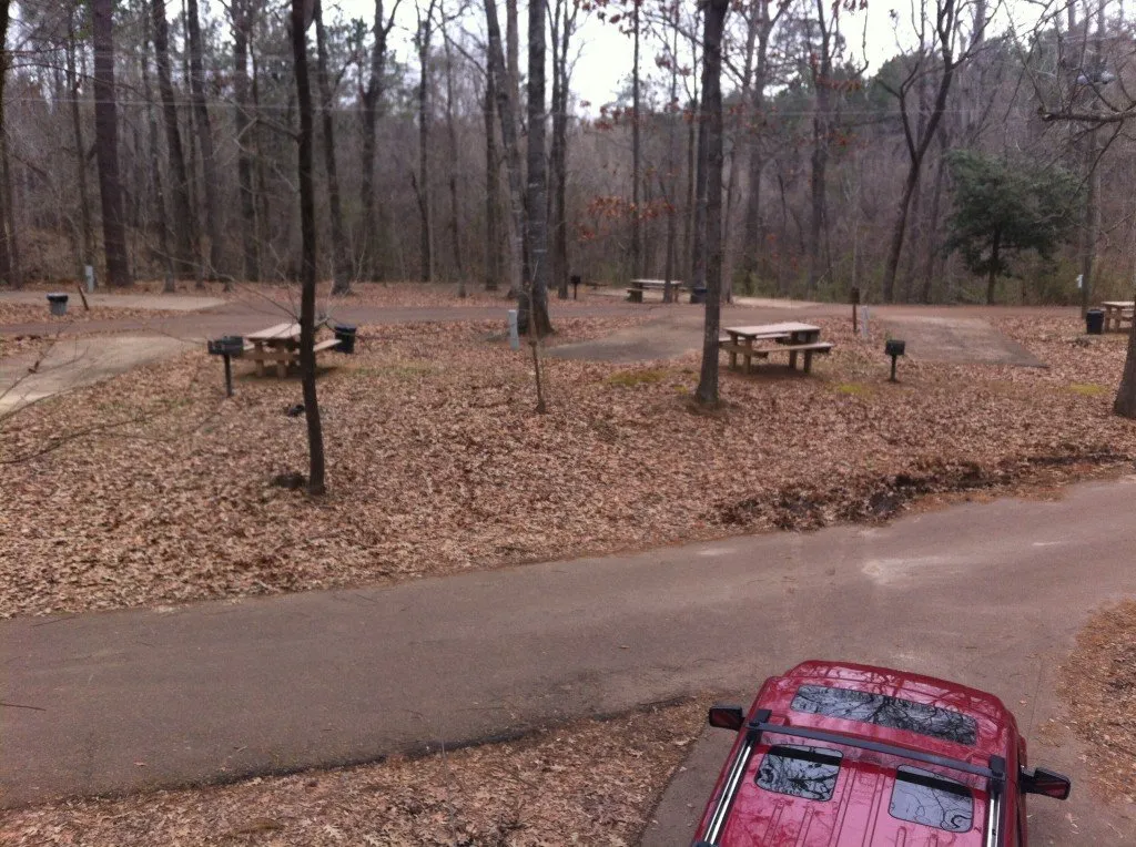 A section of the campground at Natchez State Park