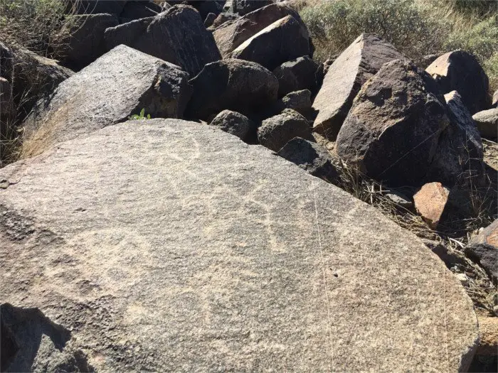 Petroglyphs Saguaro National Park