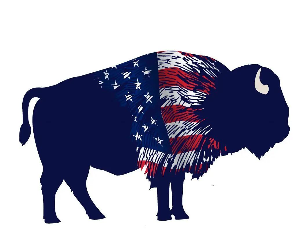 The new RV Wanderlust logo, bison only.