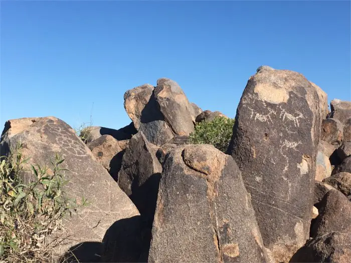Petroglyphs Sonoran Desert