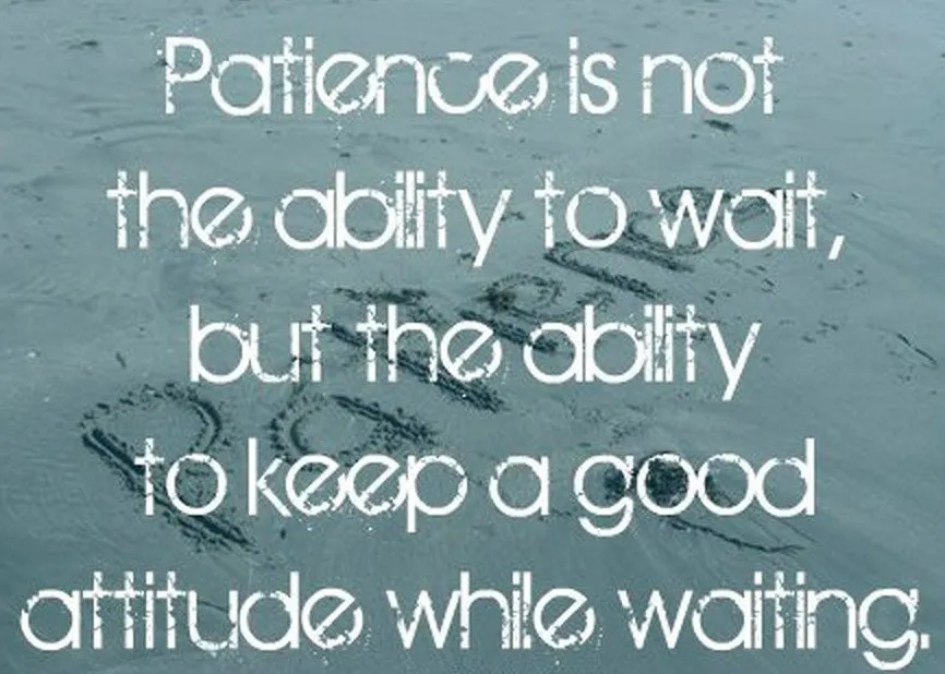 Patience is not the ability to wait