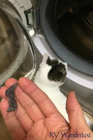 Lint in RV Washer/Dryer Combo