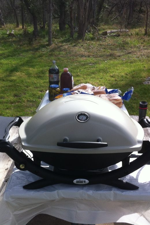 The Weber Q2200 portable gas grill