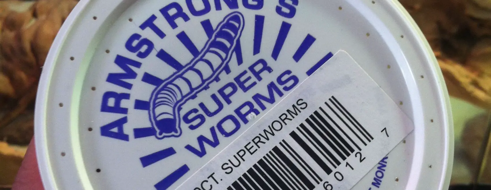 Superworms are part of the cargo of Meriwether