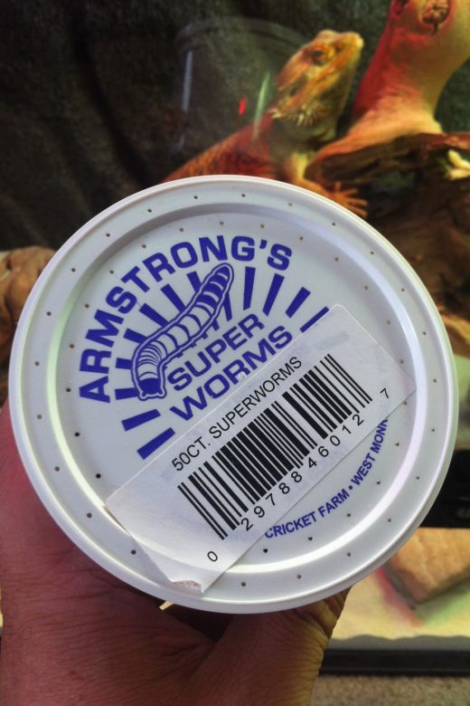 Superworms are part of the cargo of Meriwether