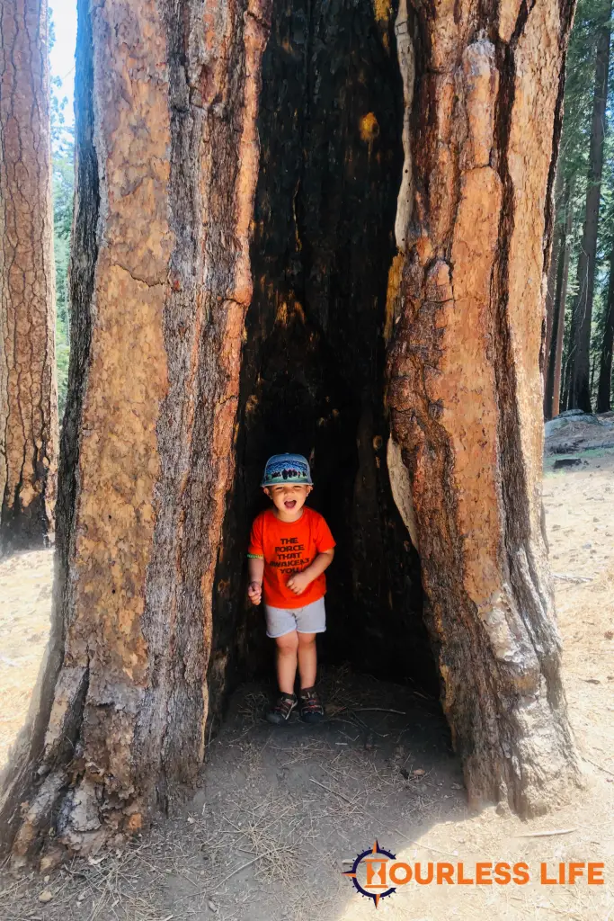 Hiking With Kids at Yosemite