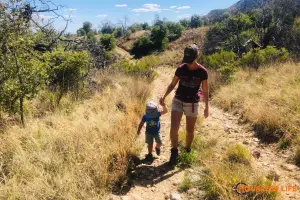 Tips for Hiking With Kids