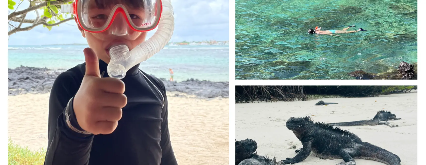 Galapagos Islands self-touring tips