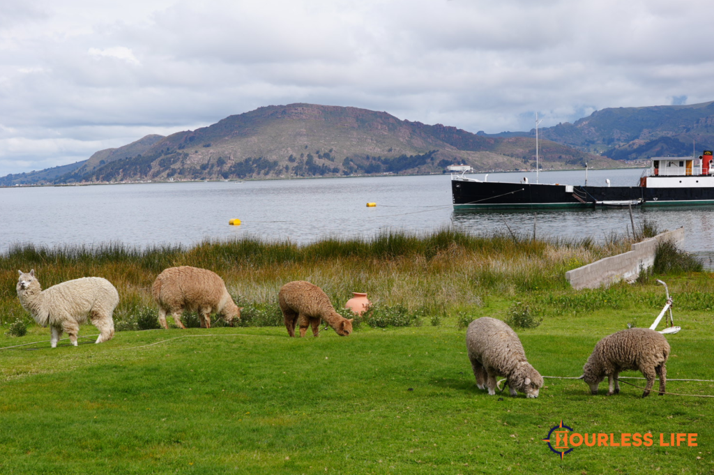 Camping on Lake Titicaca in Peru