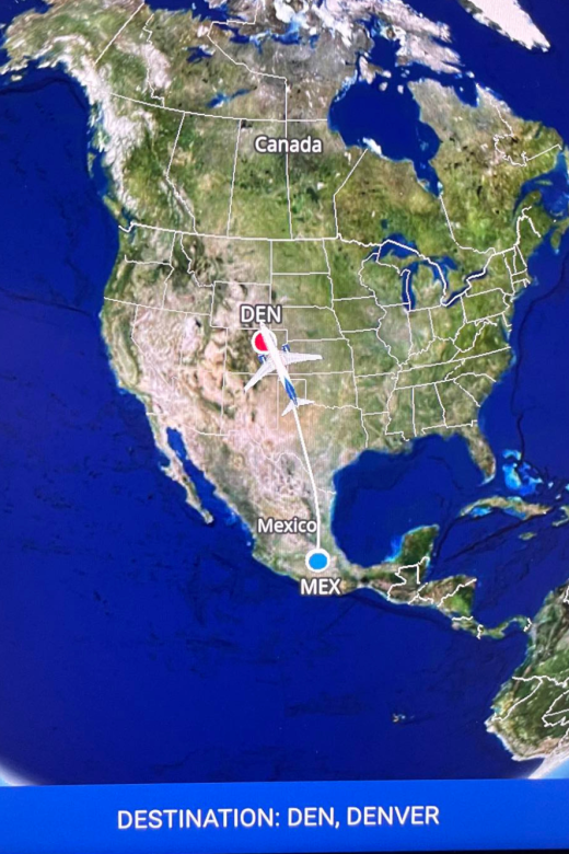 Flying from Argentina to the U.S. for a visit