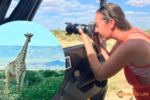 Self-guided Game Drive at Augrabies Falls National Park