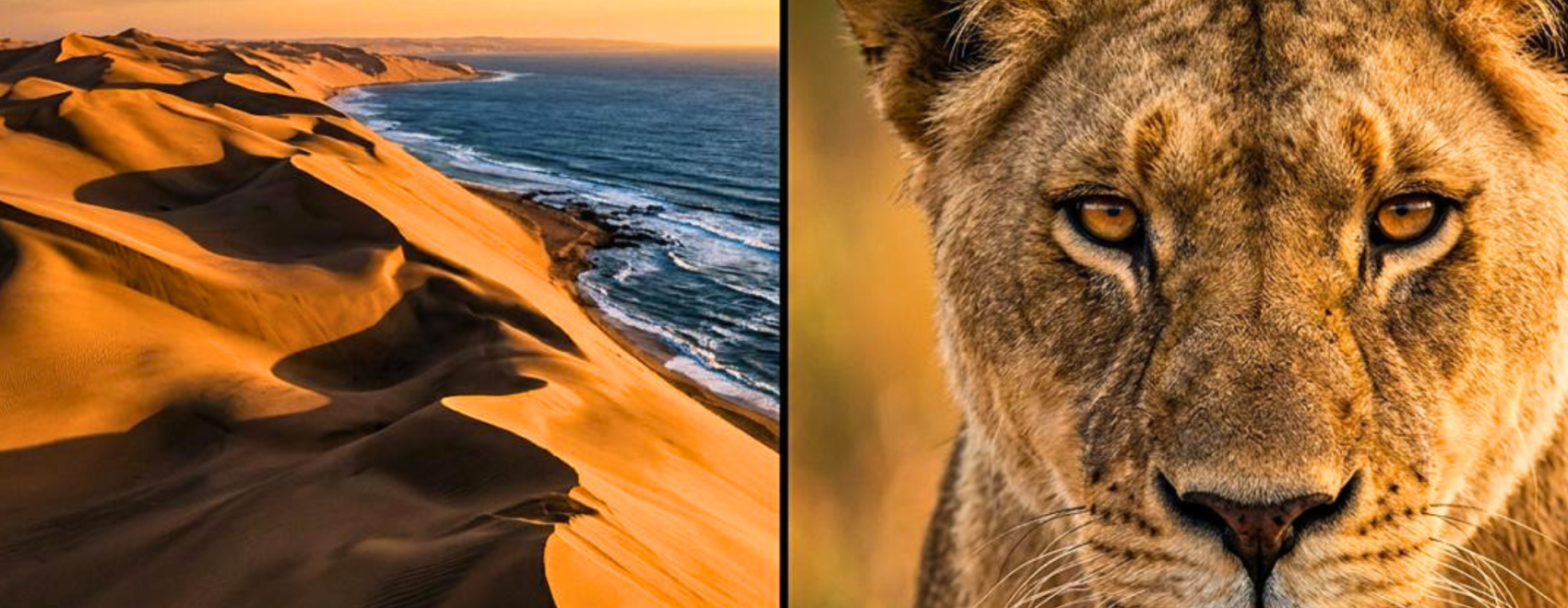 Sandwich Harbor and Etosha in Namibia