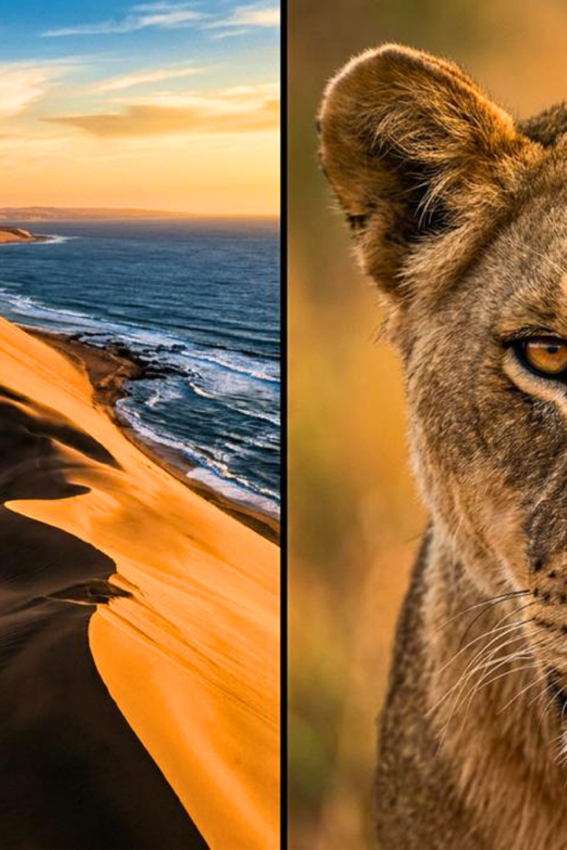 Sandwich Harbor and Etosha in Namibia