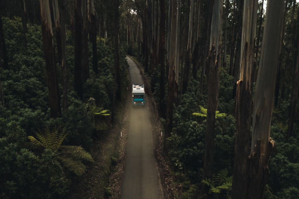 Forests Conservation for Overlanders