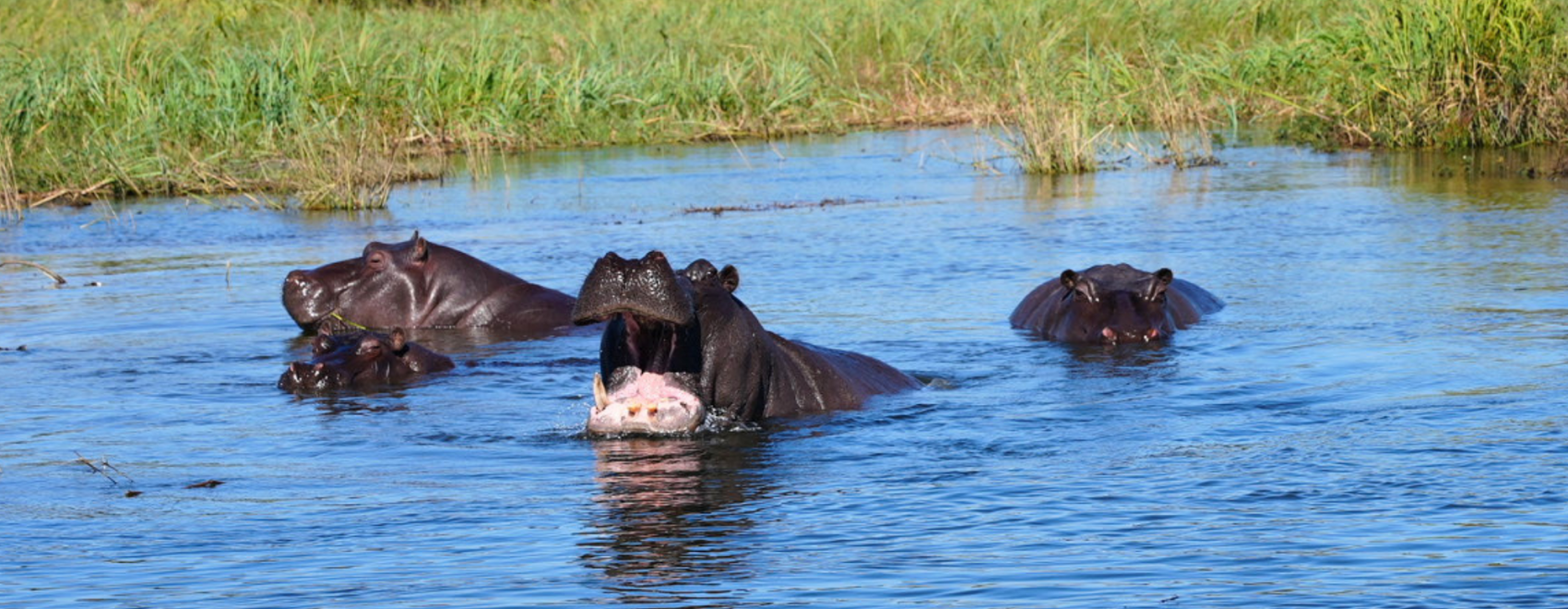Camping on the Kavango River in Namibia's Caprivi Strip