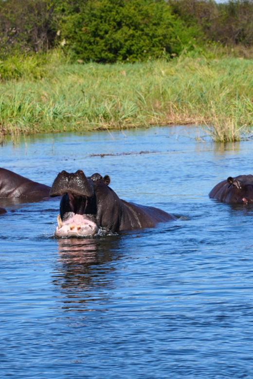 Camping on the Kavango River in Namibia's Caprivi Strip